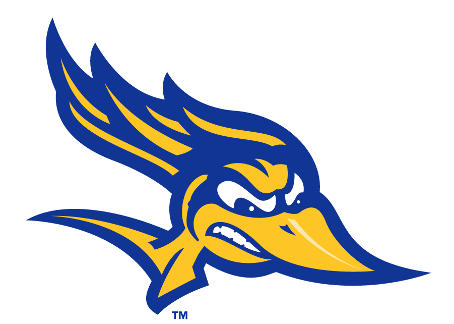 CSU Bakersfield Roadrunners iron ons